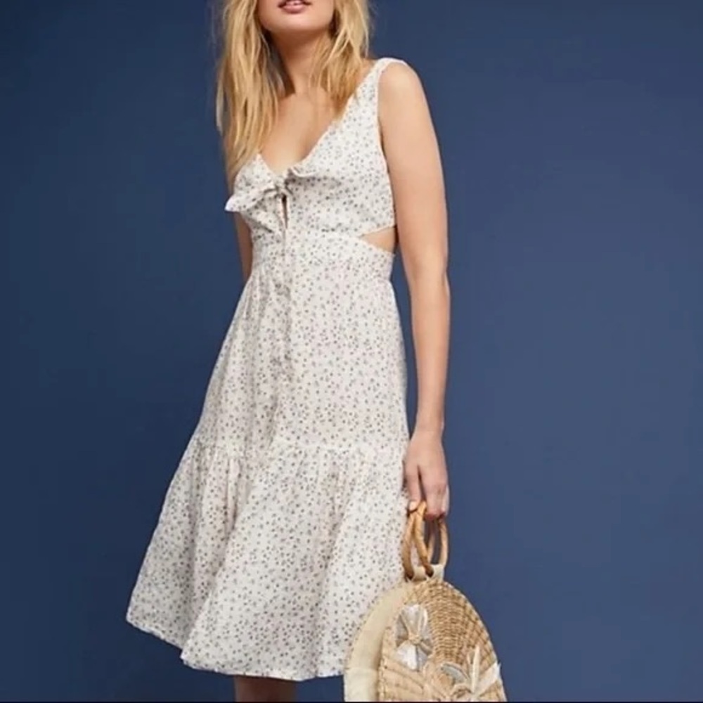 Anthropologie McGuire Palizzi Rose Garden dress - Picture 2 of 11